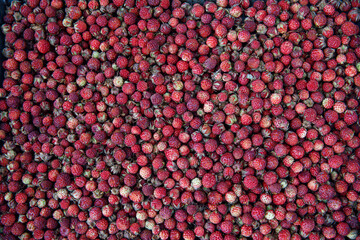 Fragaria viridis or wild meadow strawberry background. Ripe and fragrant summer berry pattern. Top view, flat lay, horizontal, vertical