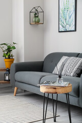 Interior of stylish living room with comfortable sofa