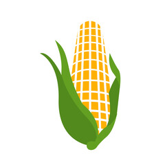 corn isolated on white background 