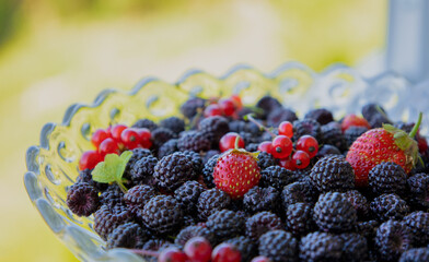 Blackberries, strawberries and red currants in a plate. Summer berries, summer food