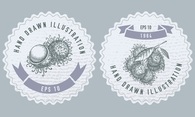 Monochrome labels design with illustration of rambutan