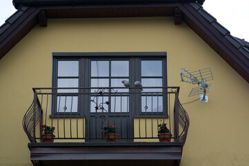 Dwa siedzące na balustradzie balkonu gołębie - obrazy, fototapety, plakaty