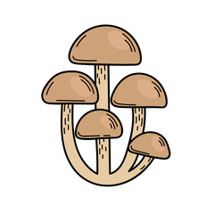 Cute edible mushroom in doodle style. Ingredients for cooking, salads. Autumn plant harvesting. Vector hand illustration
