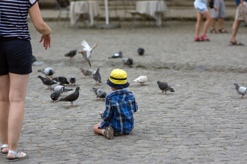 Mały chłopiec w kapeluszu siedzący wśród gołębi na kamiennym bruku - obrazy, fototapety, plakaty