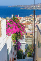 scenic view of  a colorful bougainvillea tree, traditional houses and the agean sea as a background in Ermoupolis, Syros island, Greece