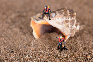 Shell on the sand and helpless diver