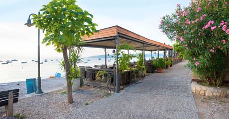 idyllic seaside promenade, morning scenery at Moscenicka Draga village, croatia. blooming oleander...