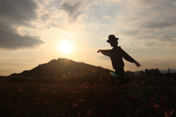 Fototapeta premium Scarecrow in the Cosmos Flower Garden