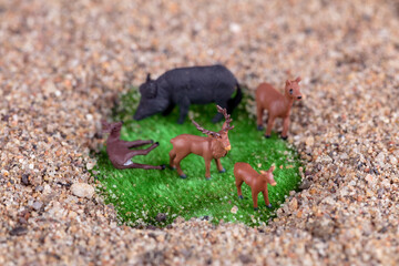 A piece of green space and various animals in the desert that is about to dry up
