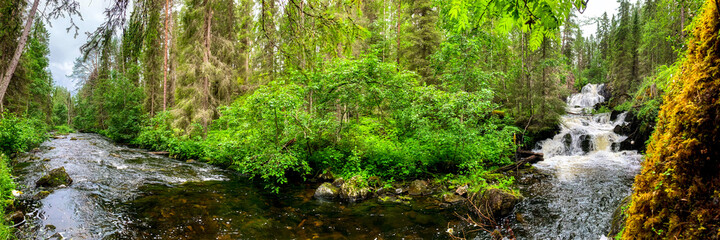 Picturesque view of the river and a cascade of waterfalls among the taiga, mixed forest. Picturesque panorama. Moss on a rock. National Park. Karelia. Northern Europe. Giant panorama.
