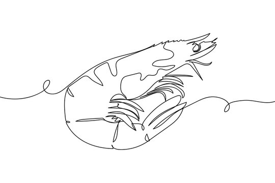 recommend clip art: Continuous one line of cooked shrimps in silhouette on a white background. Linear stylized.Minimalist.