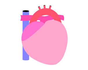 シンプルな心臓のイラスト。健康な状態。アウトラインなし。