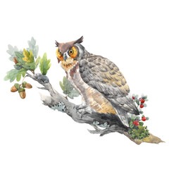 Beautiful animal image with watercolor hand drawn owl bird sitting on oak branch . Stock illustration.