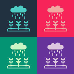 Pop art Plant sprouts grow in the rain icon isolated on color background. Seedling concept. Vector