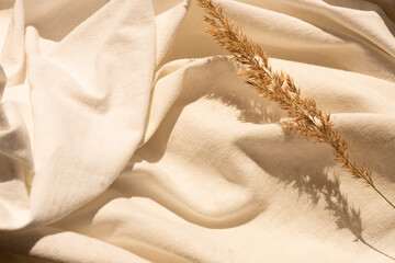 natural dried reed flowers on textured white linen textile material. flat lay background with dried...