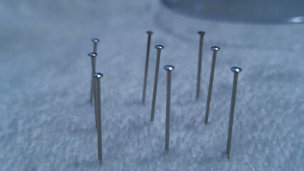 needels standing upright in a pattern