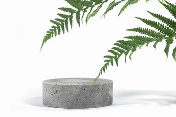 Cylindrical stone concrete eco podium on white background with hard shadows and tropical fern...