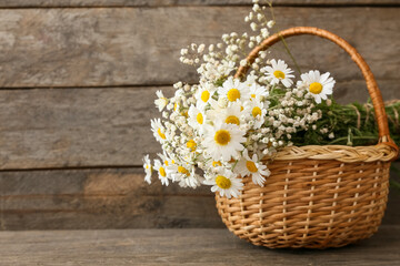 Fototapeta na wymiar Basket with beautiful chamomile flowers on wooden background
