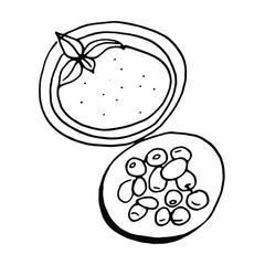 Doodle Mediterranean cuisine.Line art hand drawn vector element.
