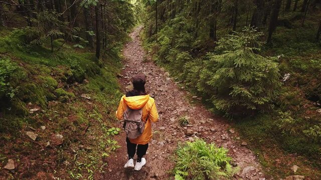 woman hiker backpacker walking by forest footpath