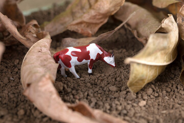 Cow model on the land and dead leaves