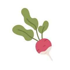 Pink radish tuber with tops. Fresh raw vegetable with leaves. Root veggie icon. Flat vector illustration of organic natural food isolated on white background