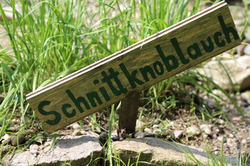 Schild Beet Schnittknoblauch