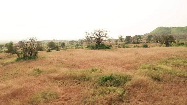 Traveling across the African savanna, drone 4k, Angola, Africa 7