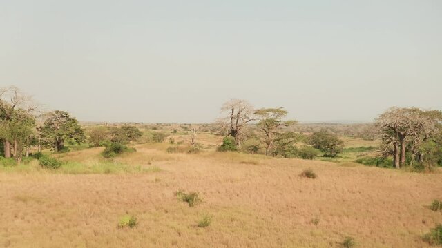 Traveling across the African savanna, drone 4k, Angola, Africa 5