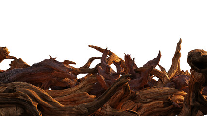 driftwood, pile of aged branches isolated on white background