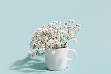 Cup with beautiful gypsophila flowers on color background