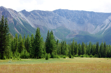 High mountains and glade with wood year daytime