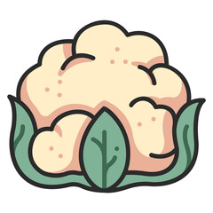 cauliflower icon