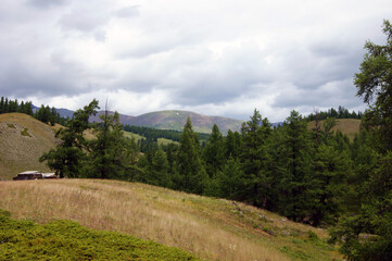 Fototapeta na wymiar Valley in mountain altai year daytime landscape