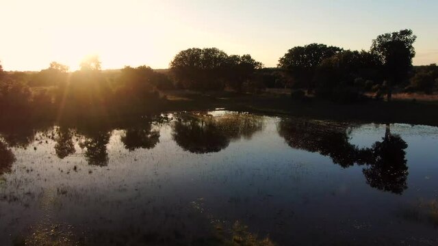 Sunset in forest lagoon, Spain. Nature in view of drone
