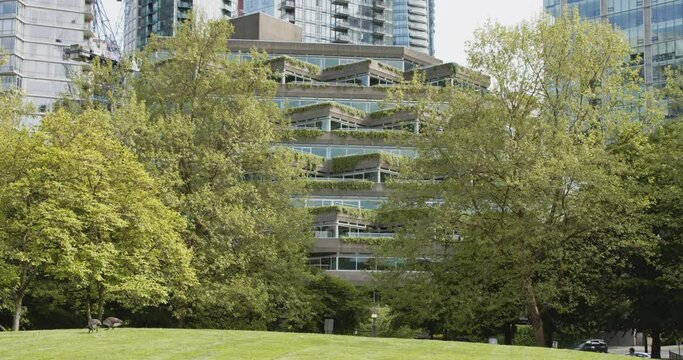 Modern Building in green city with park in front - Vancouver.
4k
60fps