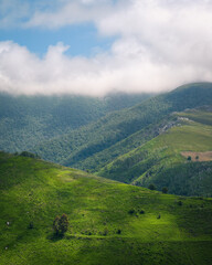 Fototapeta na wymiar Summer morning with green meadows and clearings and clouds in the mountains