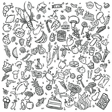 Set of icons on the theme of food. Food vector. Doodle vector with food icons on white background. 