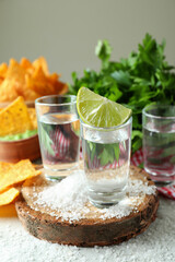 Party concept with tequila, guacamole and chips