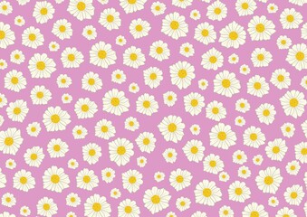 Pattern White small daisies on a delicate purple background. Spring flowers.