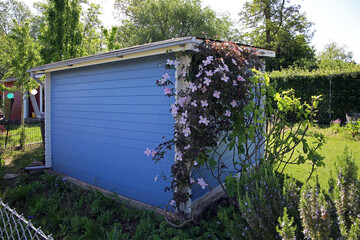 Schrebergarten