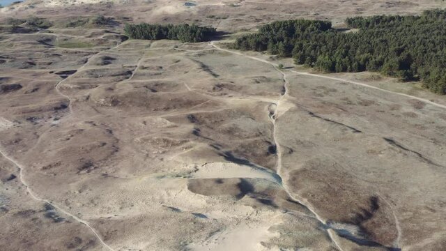 Aerial footage of dunes and small pine forest in Curonian Spit on Summer day. Neringa, LITHUANIA. 