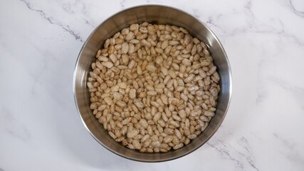 white pinto beans to soak in water in a stainless steel bowl