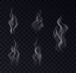 Smoke realistic collection on transparent background. Set of white vapor steam, waves