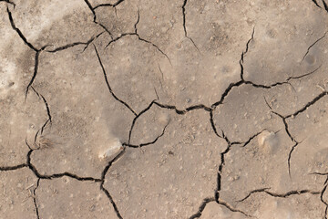 dry earth