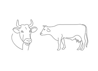 Vector linear illustration farm animal - cow isolated in white background.