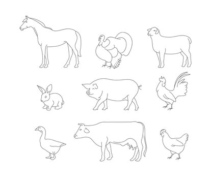 Vector set of linear illustration farm animals isolated in white background.