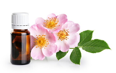 Bottle with essential oil from rose. Flower rose hips isolated on white background. With clipping path.