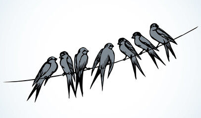 Fototapeta premium Swallows are sitting on a wire. Vector drawing