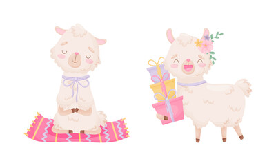 Obraz premium Cute Llama or Alpaca Sitting in Yoga Pose and Carrying Gift Boxes Vector Set